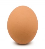 egg7